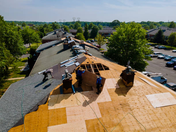 Trusted Roof Replacement service in Rebuck, PA - Brentwood Metal Roofing